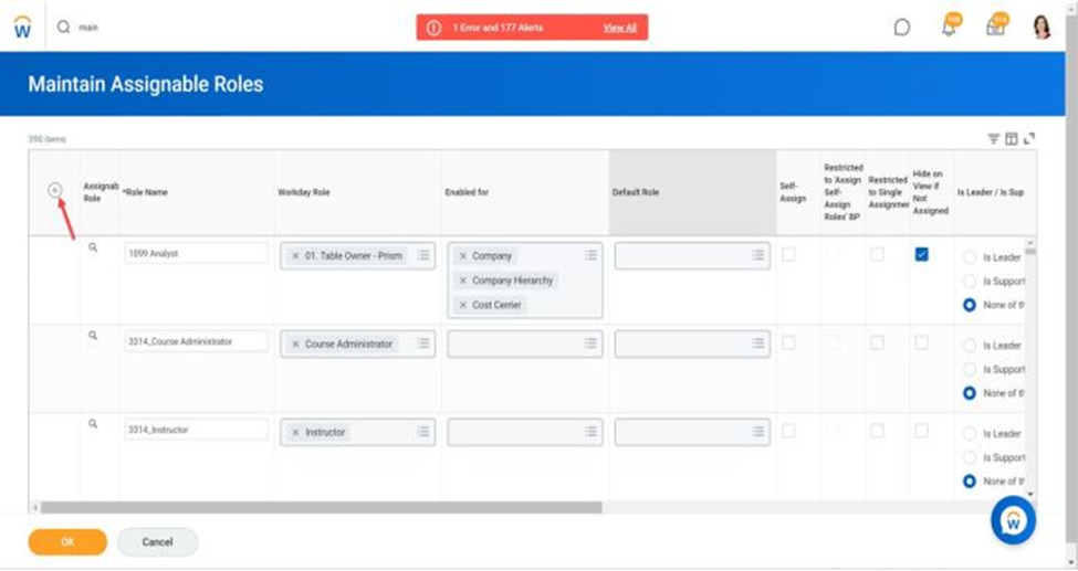 workday assignable roles