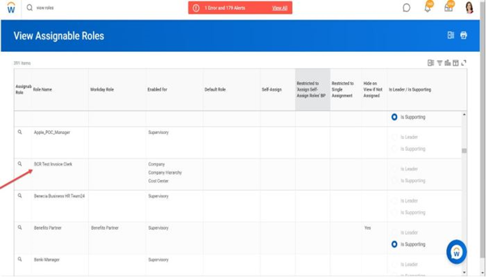 workday assignable roles